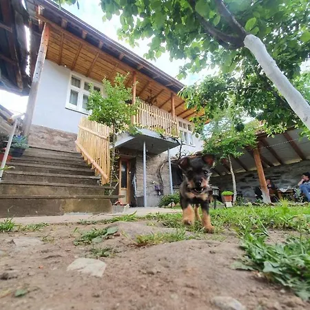 Tupavica Apartman Pirot