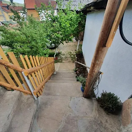 Apartment Tupavica *