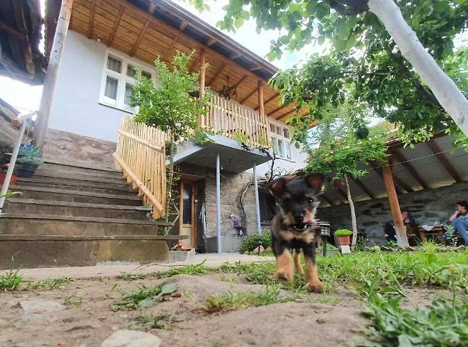 Tupavica 公寓 皮罗特